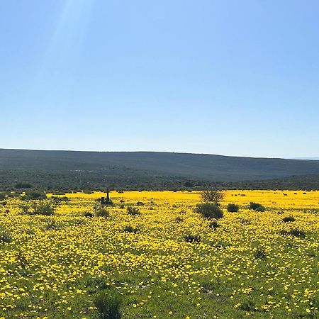 Simbavati Cederberg Ridge Villa Clanwilliam Exterior photo