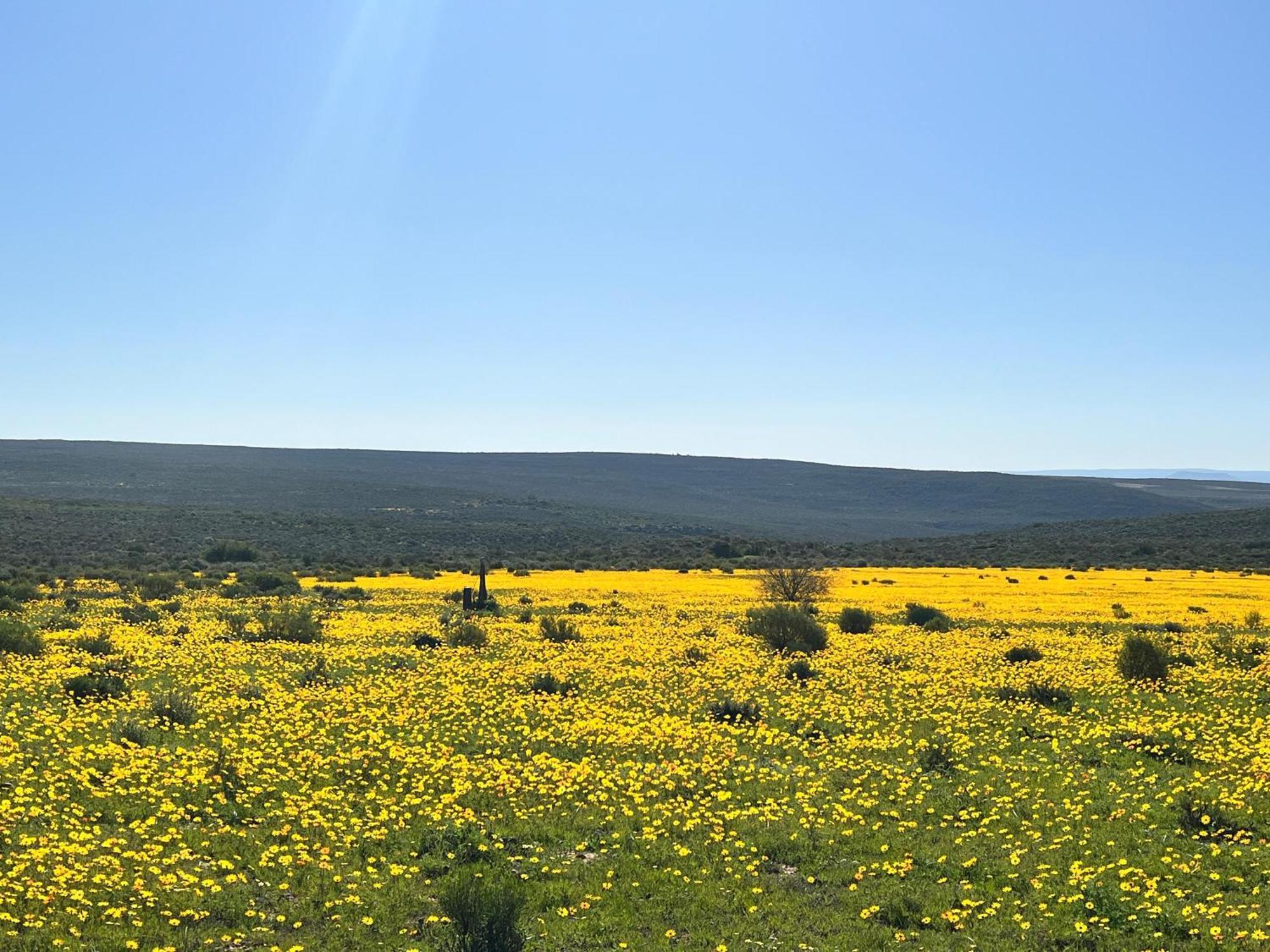Simbavati Cederberg Ridge Villa Clanwilliam Exterior photo