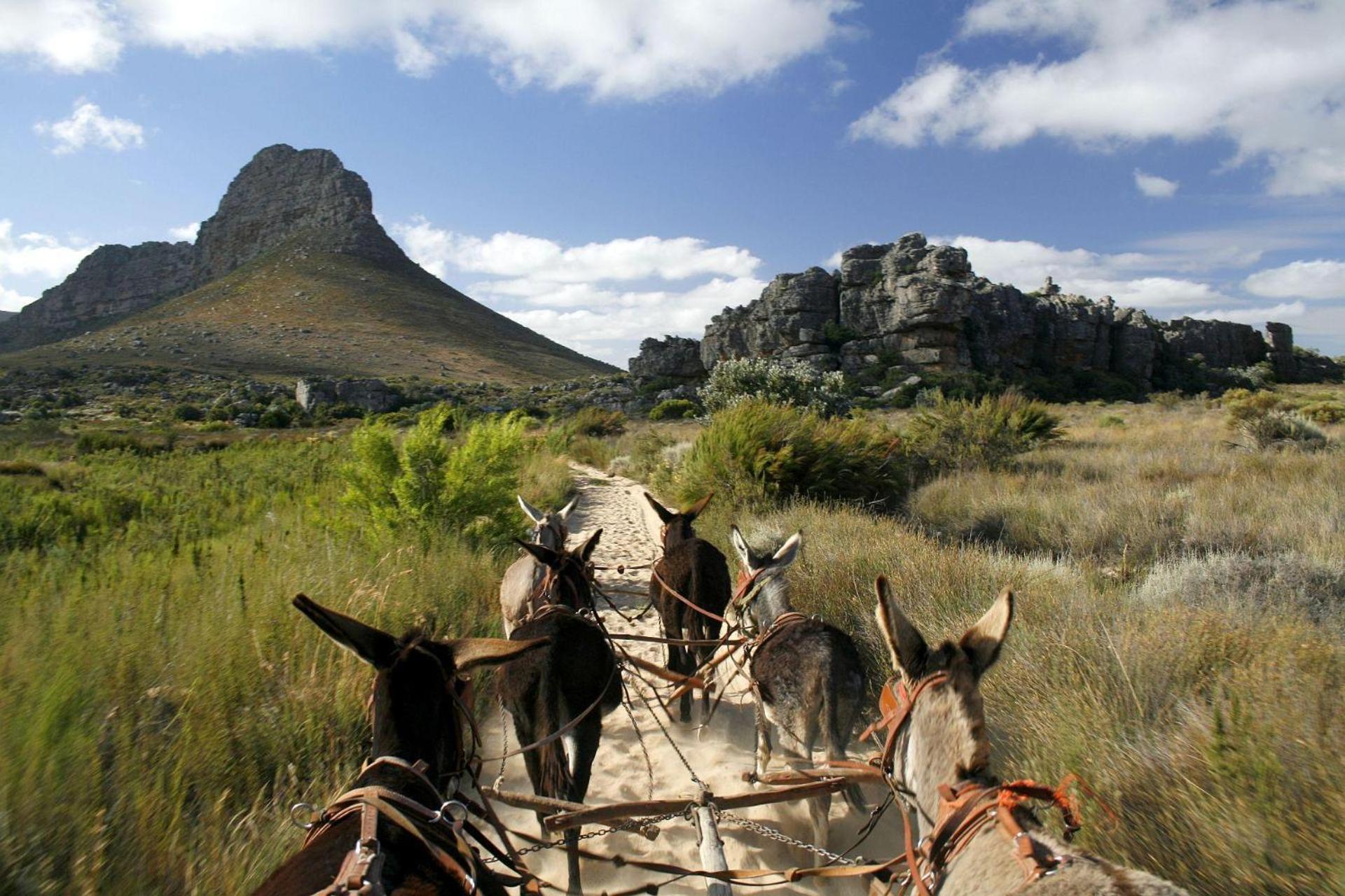 Simbavati Cederberg Ridge Villa Clanwilliam Exterior photo