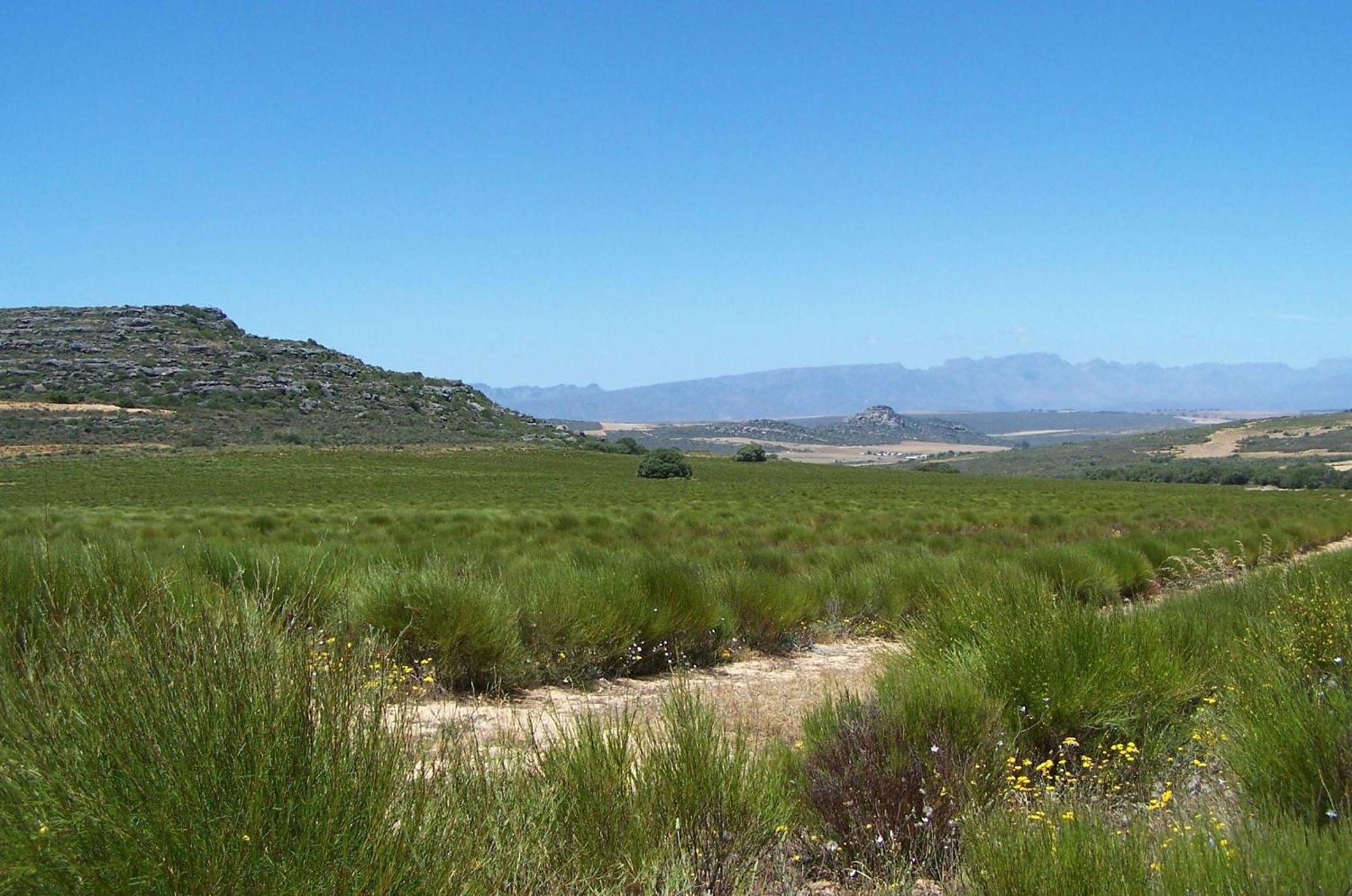 Simbavati Cederberg Ridge Villa Clanwilliam Exterior photo